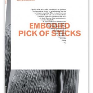Field Essays #1: Embodied pick of sticks.