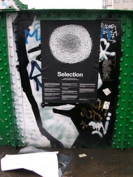 SELEZIONE/SELECTION