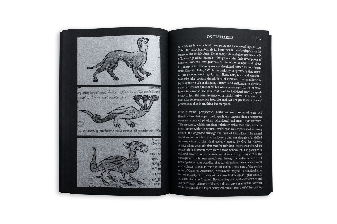 Un bestiario de la prehistoria　ペトログリフ Un bestiario de la prehistoria - Nido de Libros