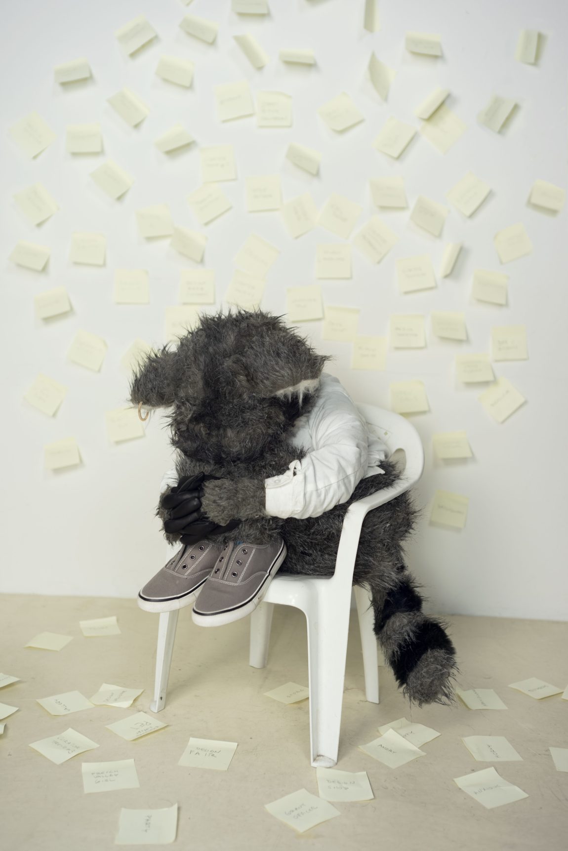 The Rise and Fall of Teun the Raccoon